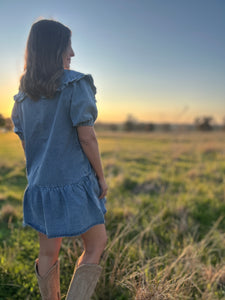 Arlo Denim Dress