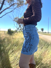 Elko Embroidered Denim Skirt