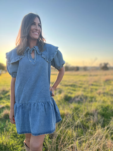 Arlo Denim Dress